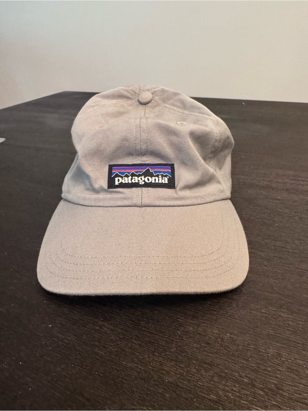 Patagonia Men’s Light Gray Logo Baseball Cap